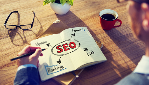 Softclusion SEO Services